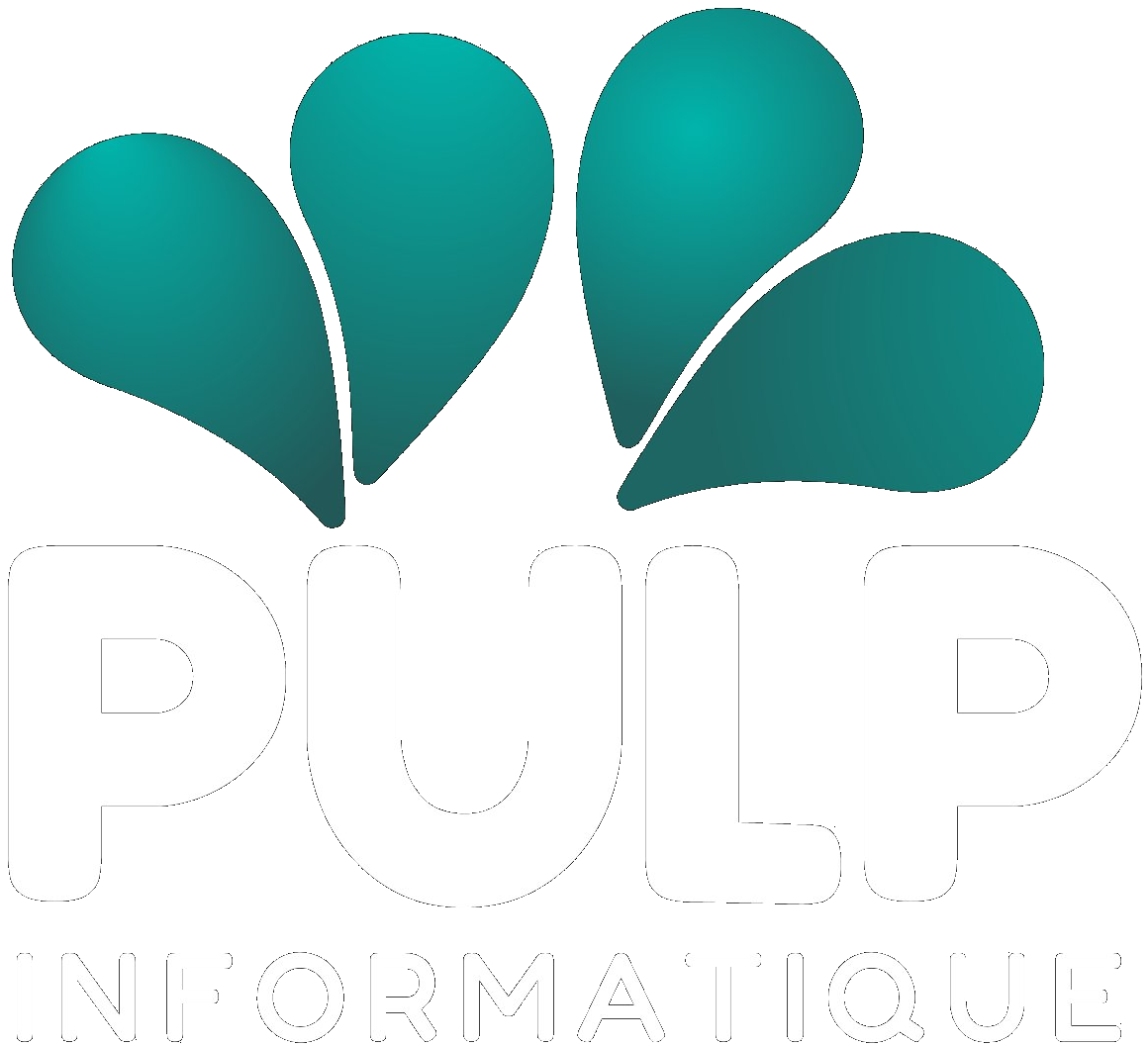 Pulp Informatique