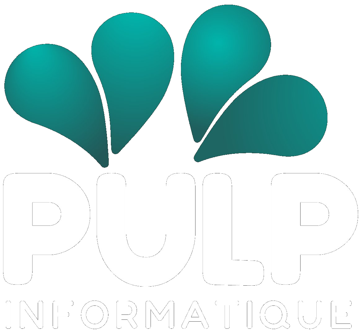 Pulp Informatique